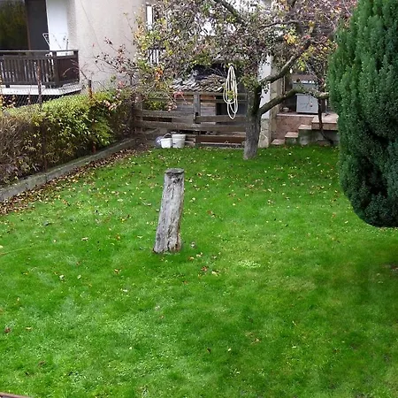 Guest house Deers *