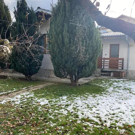 Deers * בנסקו