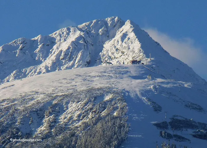 Deers Guest house 3*