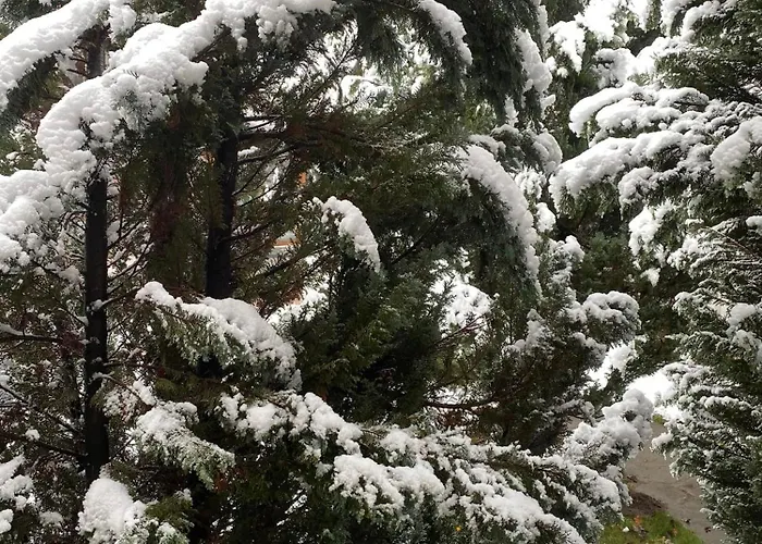 Deers Guest house 3*